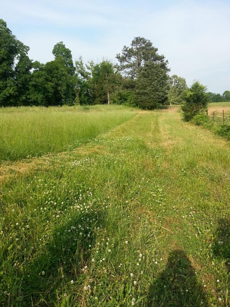 0 County Rd 603, Athens, TN 37303