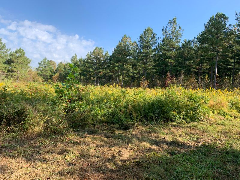0 County Road 108, Athens, TN 37303