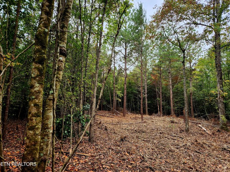 0 County Road 187, Athens, TN 37303