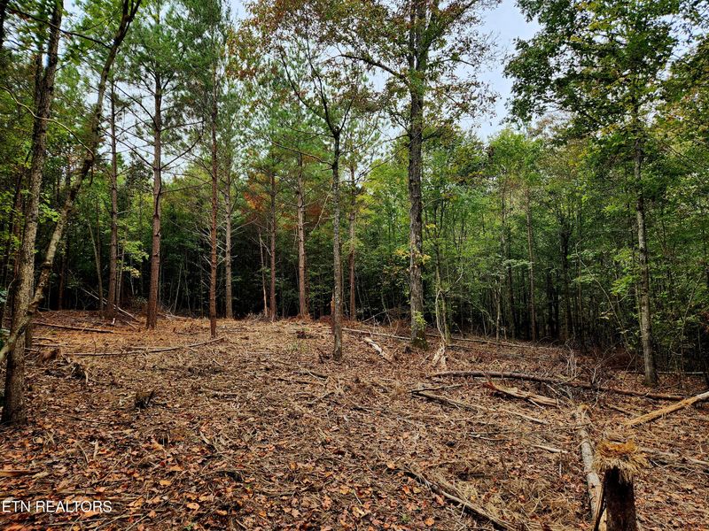 0 County Road 187, Athens, TN 37303