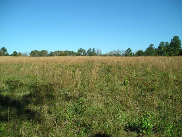 0 County Road 195, Athens, TN 37303
