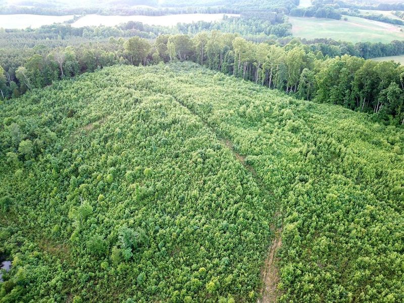 0 County Road 250, Niota, TN 37826