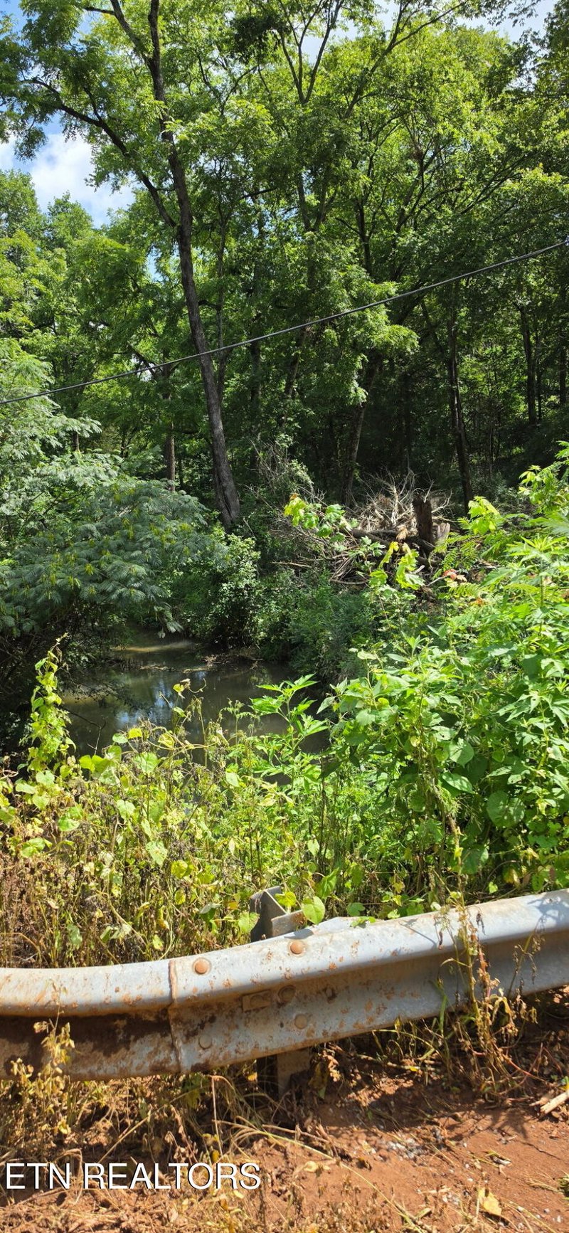 0 County Road 267, Niota, TN 37826