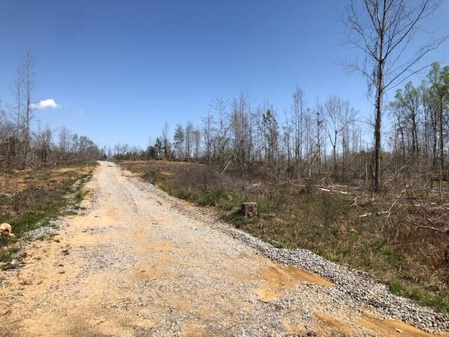 0 County Road 290, Philadelphia, TN 37846
