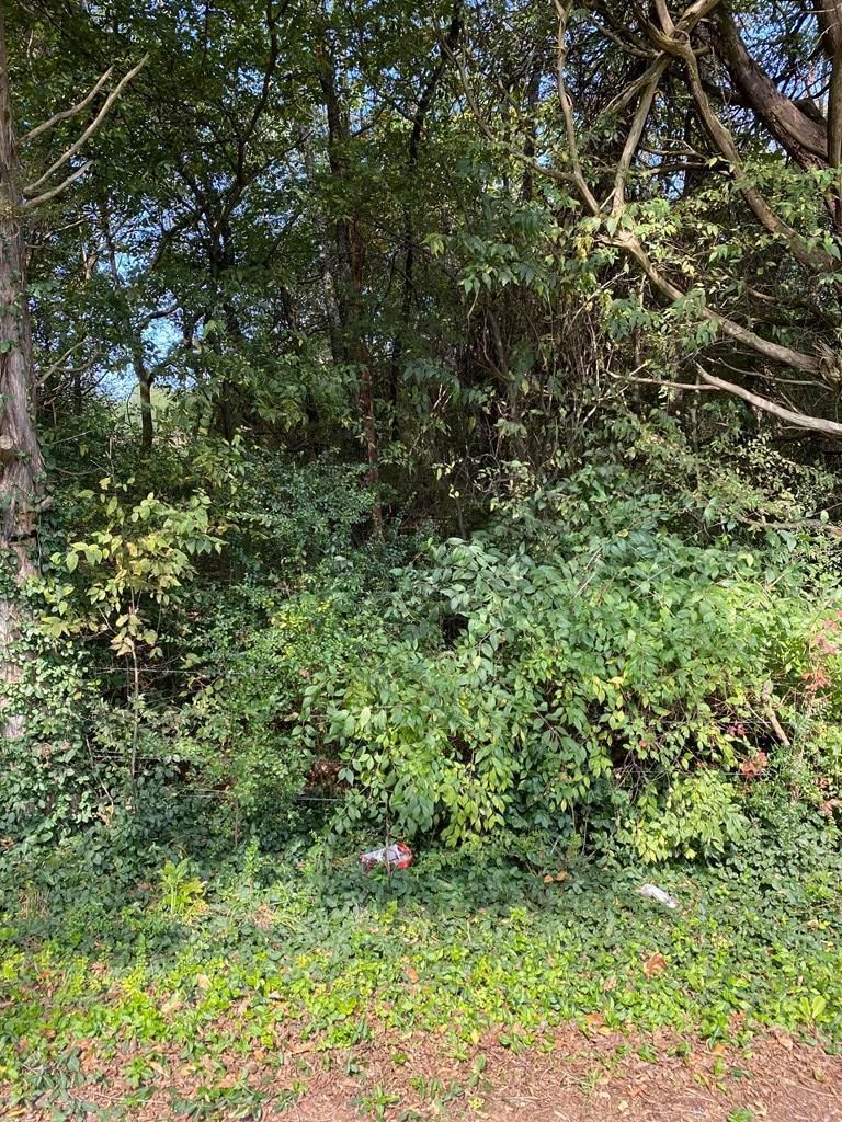 0 County Road 438, Athens, TN 37303