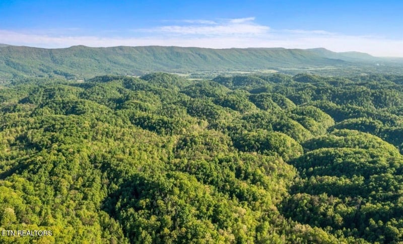0 County Road 484, Etowah, TN 37331