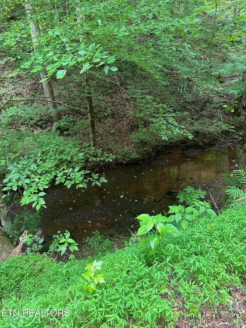 0 County Road 484, Etowah, TN 37331