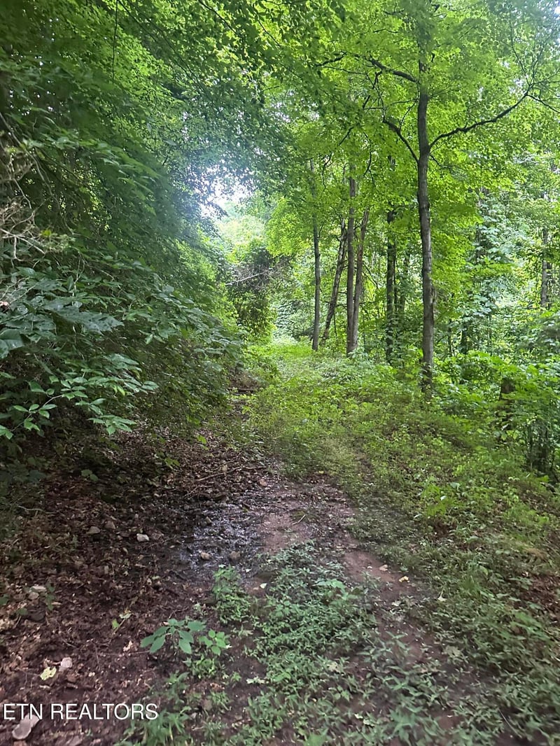 0 County Road 484, Etowah, TN 37331