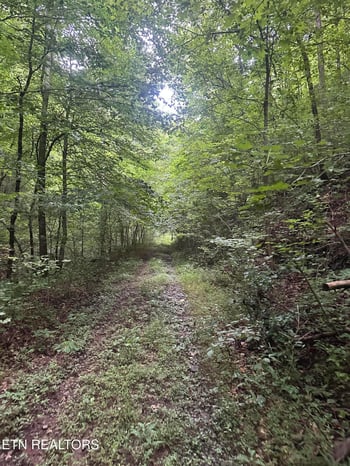 0 County Road 484, Etowah, TN 37331