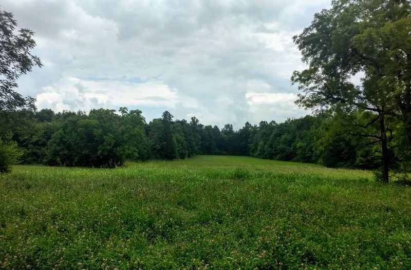 0 County Road 516, Englewood, TN 37329