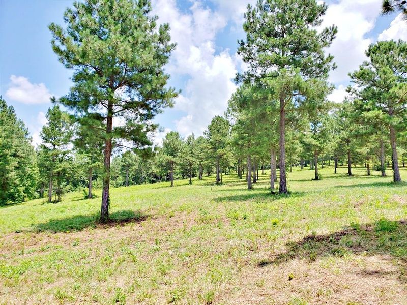 0 County Road 609, Etowah, TN 37331