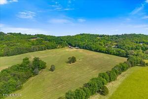 0 County Road 675, Riceville, TN 37370