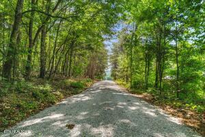 0 County Road 675, Riceville, TN 37370