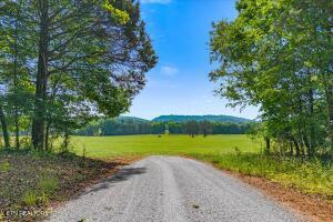 0 County Road 675, Riceville, TN 37370