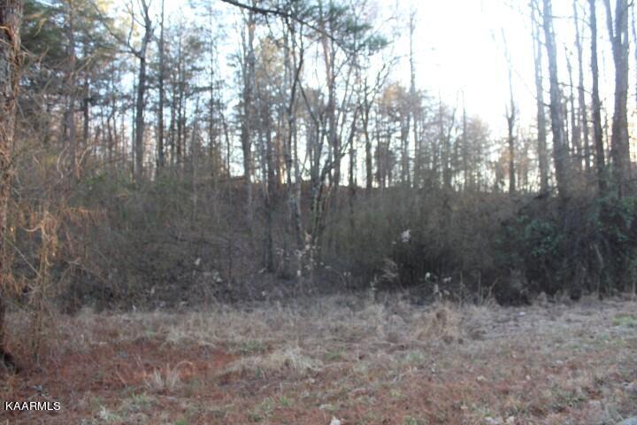 0 County Road 786 Lot 2, Etowah, TN 37331