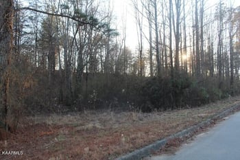 0 County Road 786 Lot 2, Etowah, TN 37331