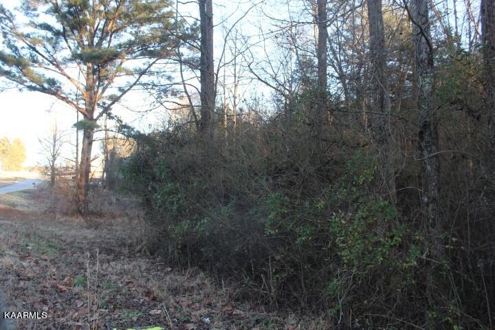 0 County Road 786 Lot 2, Etowah, TN 37331