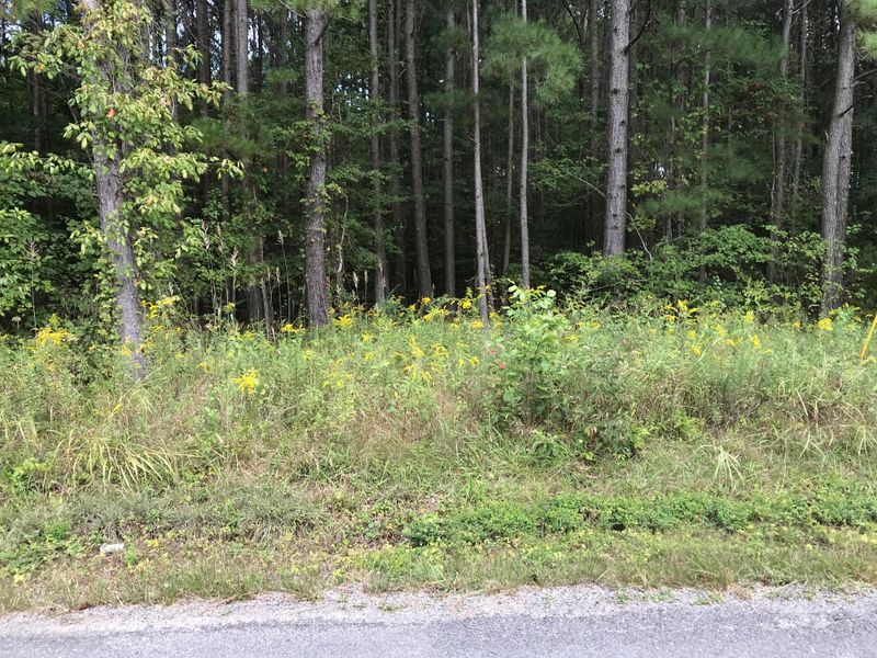 0 County Road 788, Etowah, TN 37331