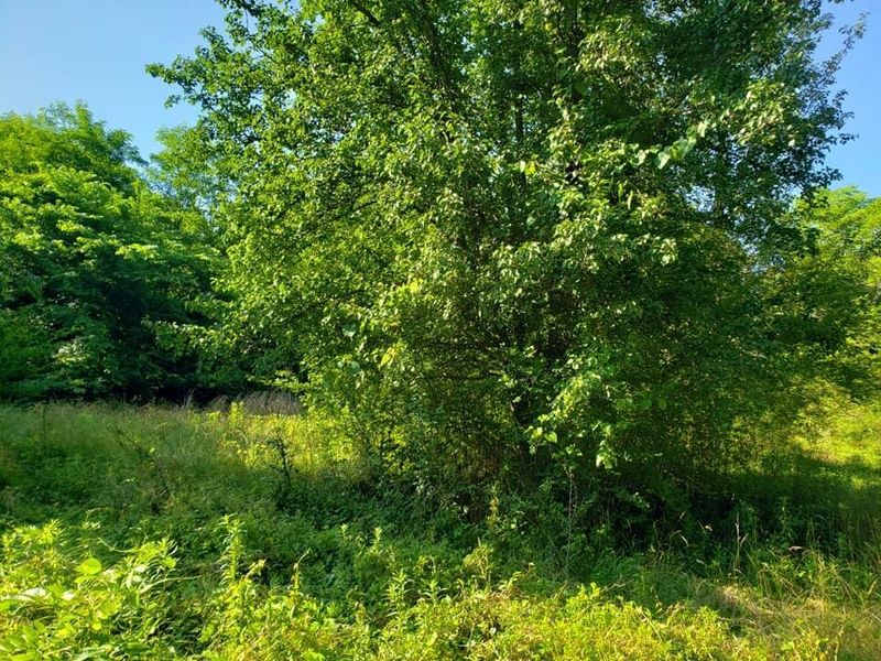 0 County Road 87, Athens, TN 37303