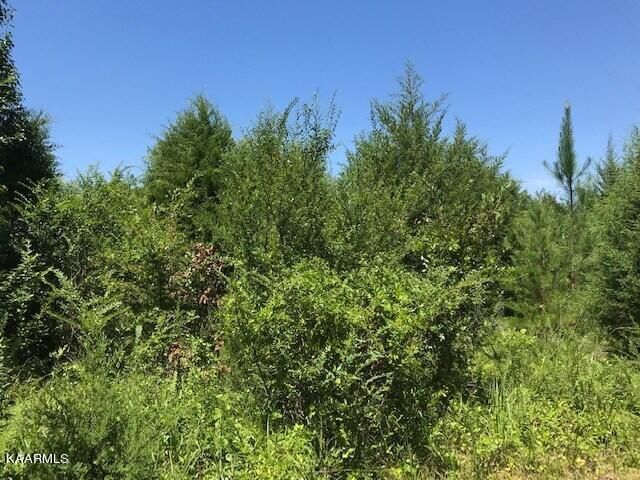 0 County Road 875, Etowah, TN 37331