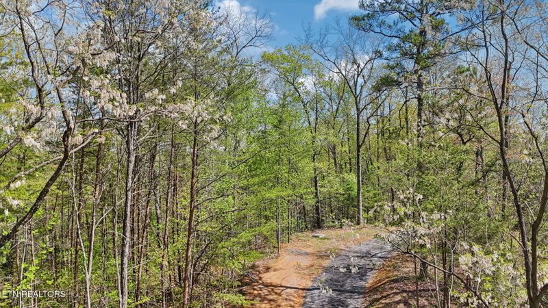 0 Cove Creek Way, Sevierville, TN 37862
