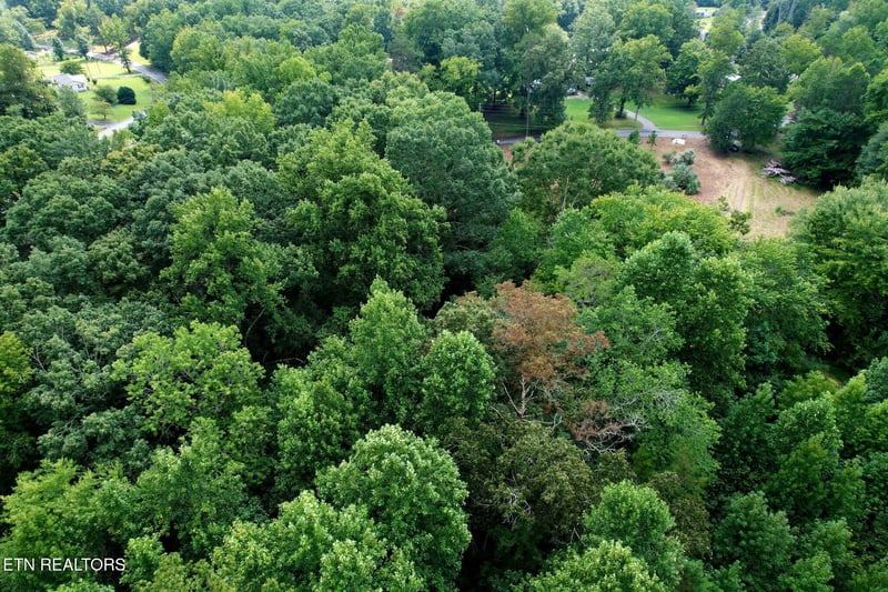 0 Cove Ln, Oliver Springs, TN 37840