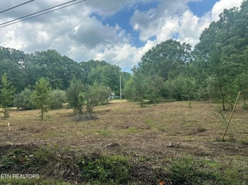 0 Cove Ln, Oliver Springs, TN 37840
