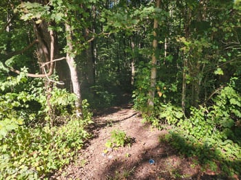 0 Cove Ln, Oliver Springs, TN 37840