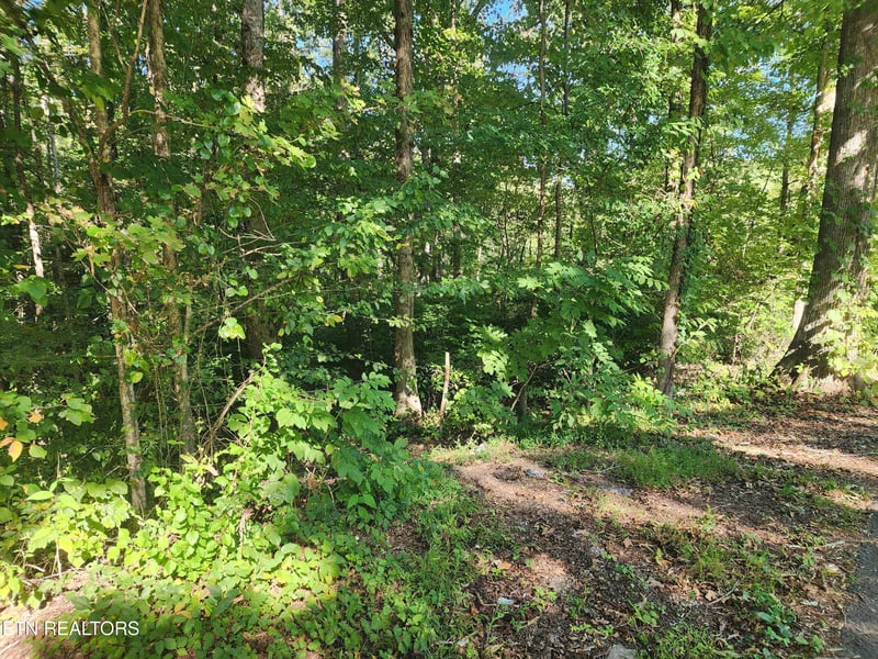 0 Cove Ln, Oliver Springs, TN 37840