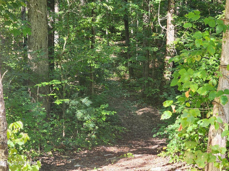 0 Cove Ln, Oliver Springs, TN 37840