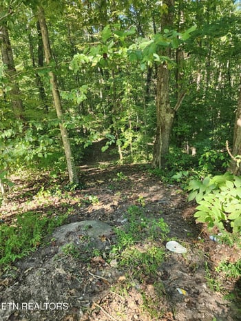 0 Cove Ln, Oliver Springs, TN 37840