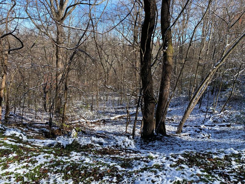 0 Cove Mountain Ln, Sevierville, TN 37862