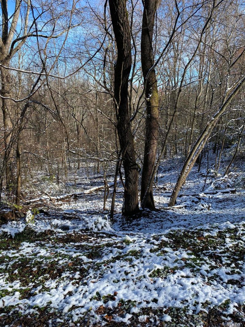 0 Cove Mountain Ln, Sevierville, TN 37862