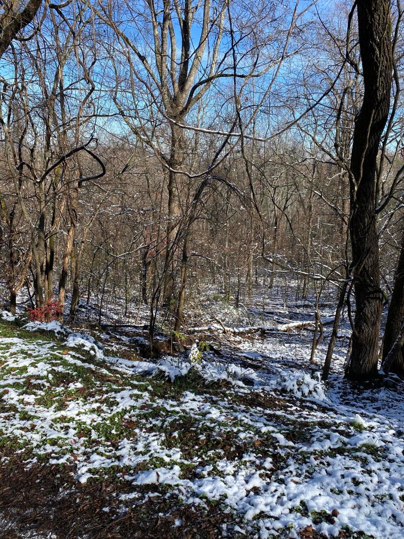 0 Cove Mountain Ln, Sevierville, TN 37862