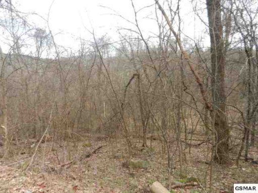 0 Cove Mountain Way, Sevierville, TN 37876