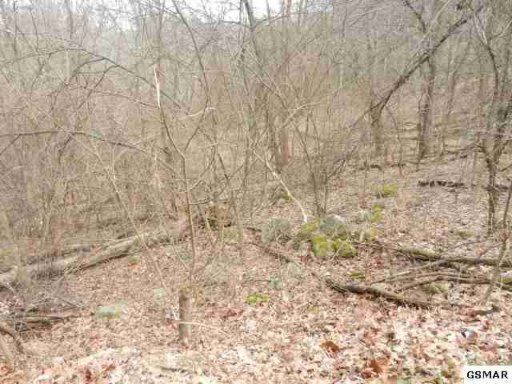 0 Cove Mountain Way, Sevierville, TN 37876