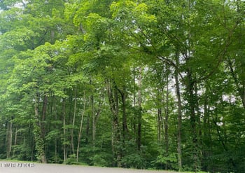 0 Cove Norris Rd, Caryville, TN 37714