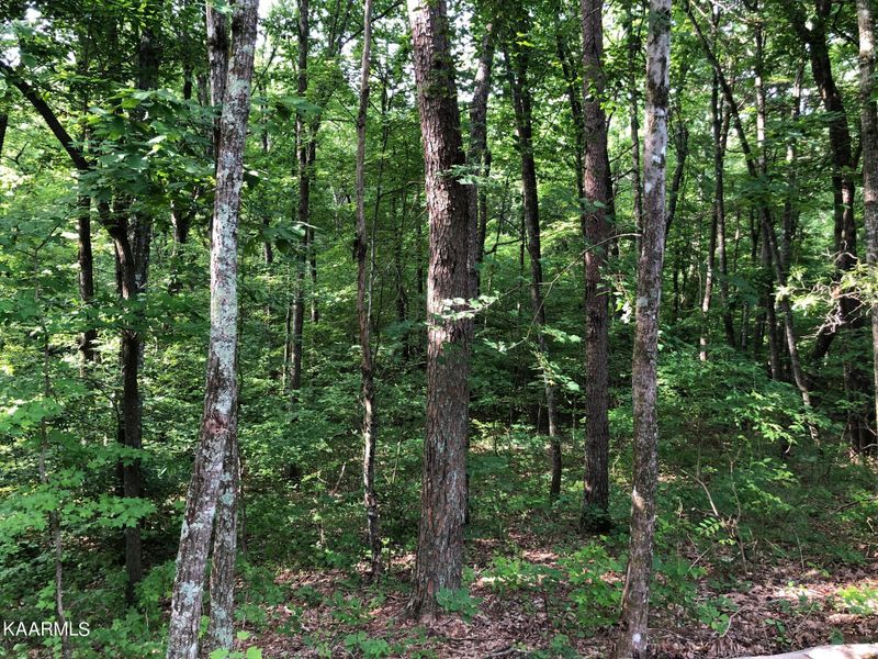 0 Cove Pl #2, Monterey, TN 38574