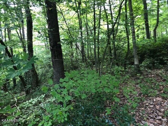 0 Cove Pl #2, Monterey, TN 38574