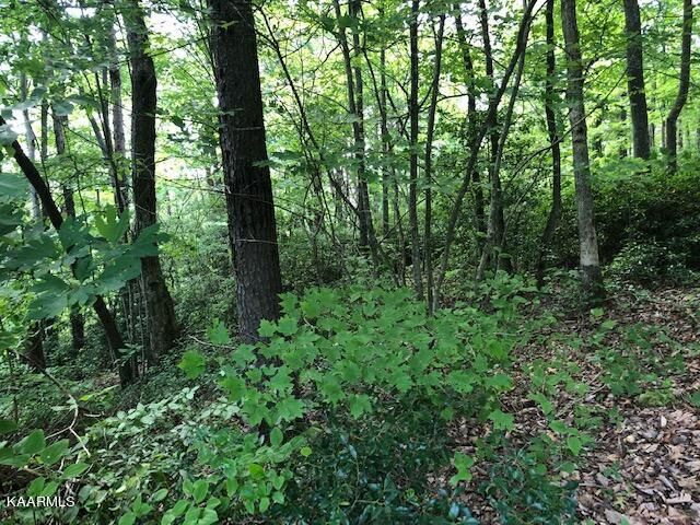 0 Cove Pl #2, Monterey, TN 38574