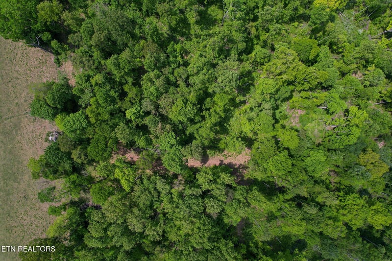 0 Cove Point Rd, Lafollette, TN 37766