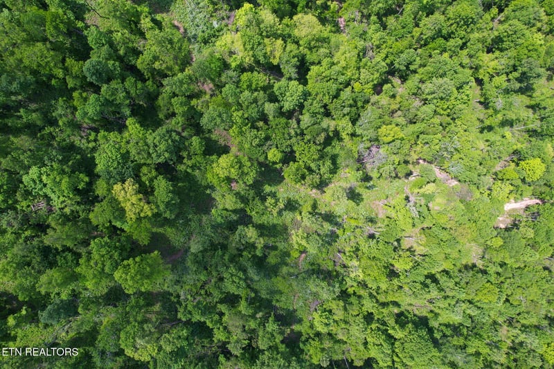 0 Cove Point Rd, Lafollette, TN 37766