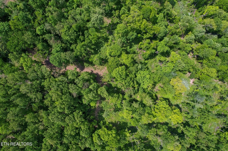 0 Cove Point Rd, Lafollette, TN 37766