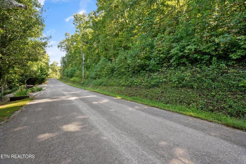 0 Cove Pointe Rd, Lafollette, TN 37766