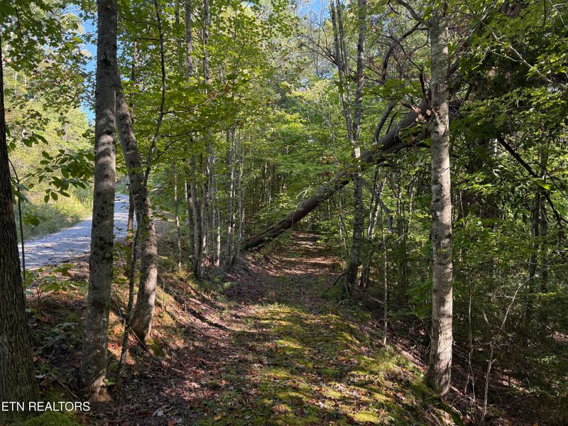 0 Covemont Rd, Sevierville, TN 37862