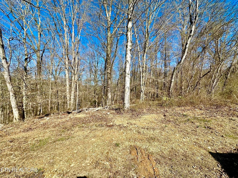 0 Coventry Dr, Andersonville, TN 37705
