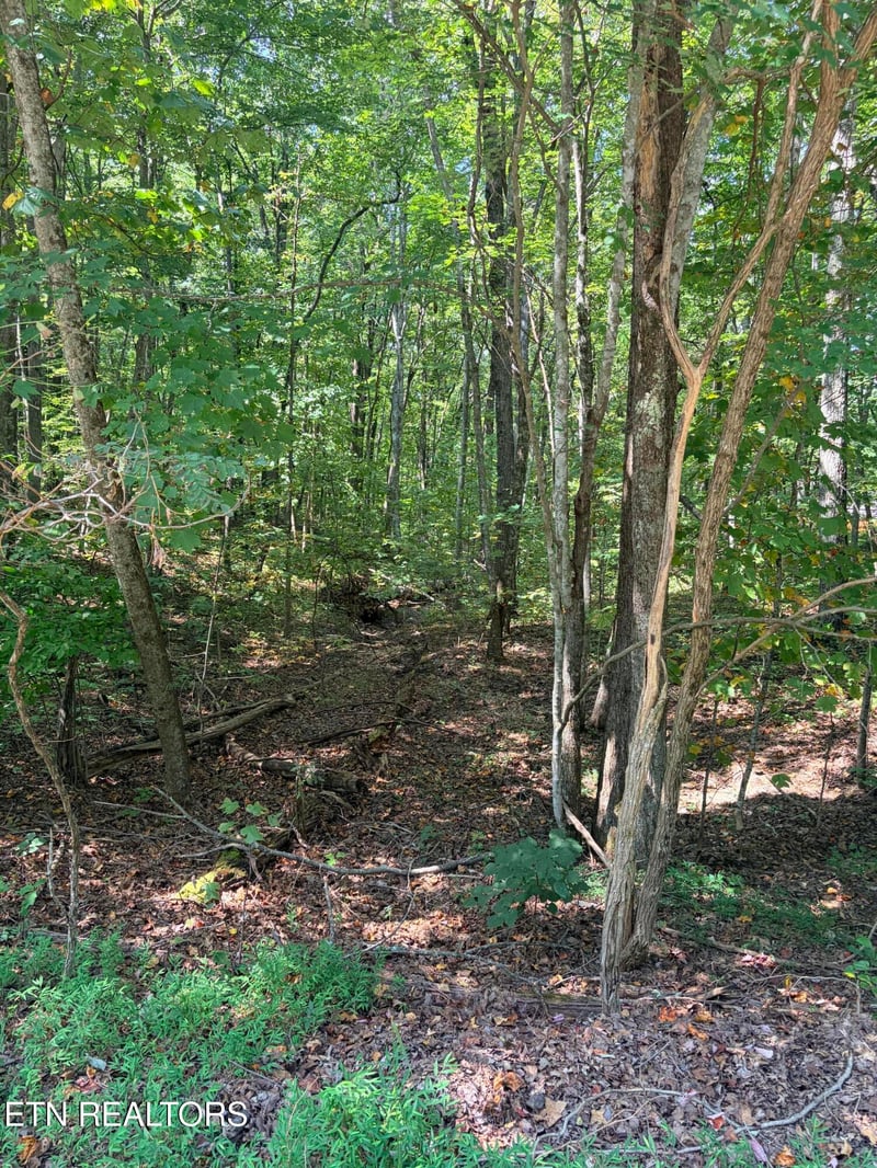 0 Cowpens Dr, Monterey, TN 38574