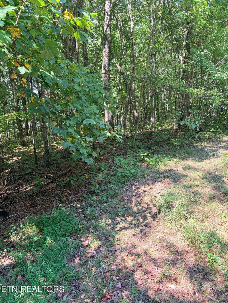 0 Cowpens Dr, Monterey, TN 38574