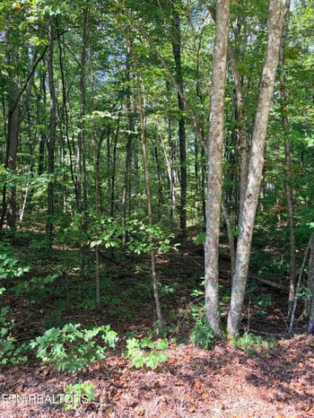 0 Cowpens Dr, Monterey, TN 38574