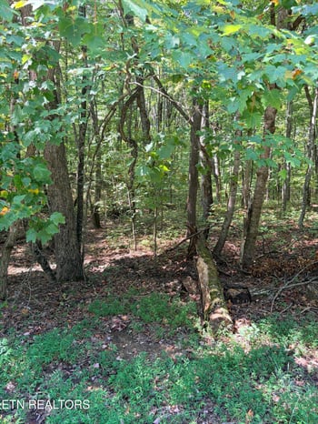 0 Cowpens Dr, Monterey, TN 38574